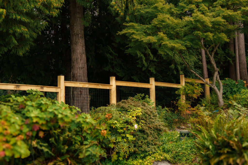 Yellow cedar rough cut with black hog wire inset. black post caps deer fence